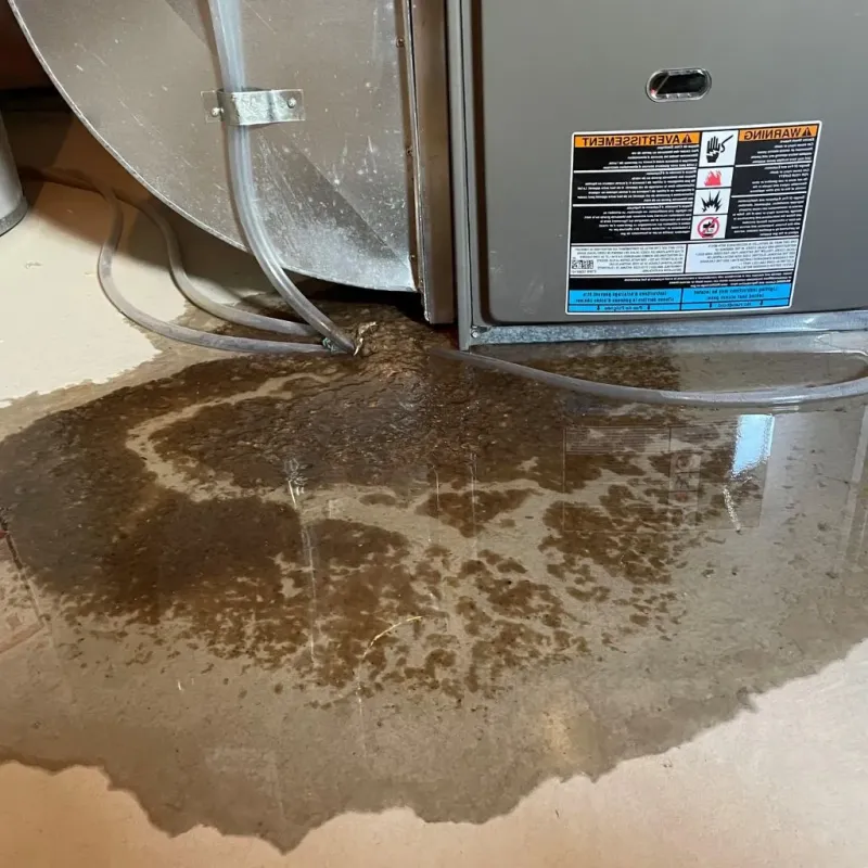 Pipe Burst and Leak Restoration in Sanborn, IA
