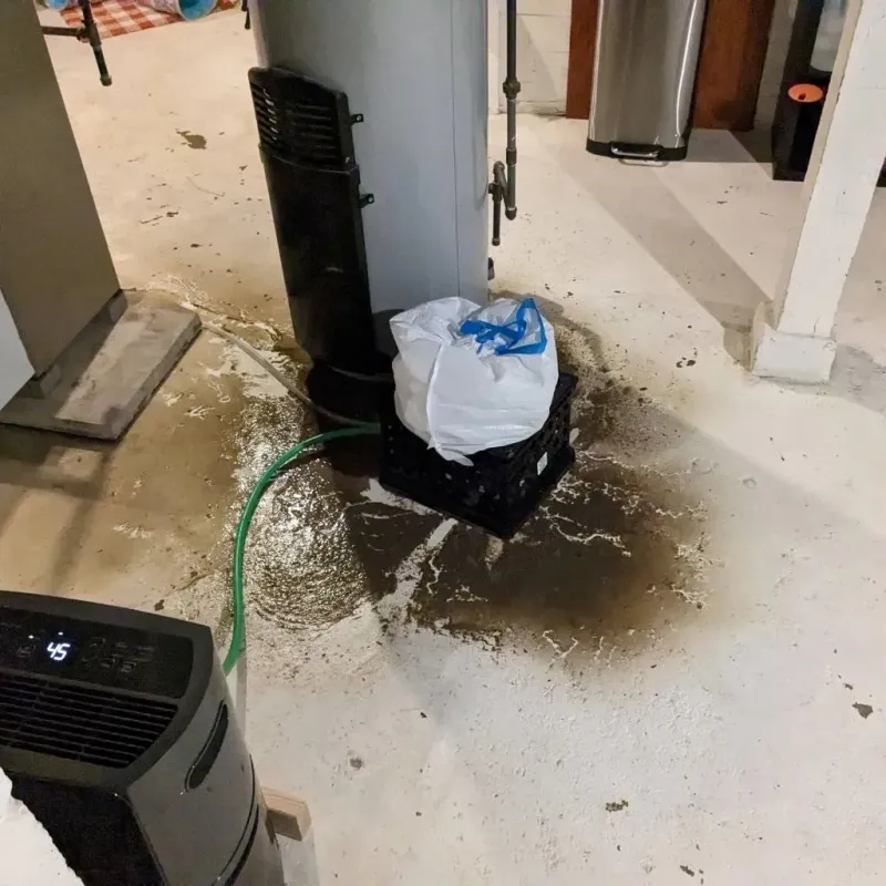 Sewage Backup Cleanup Service in Sanborn, IA
